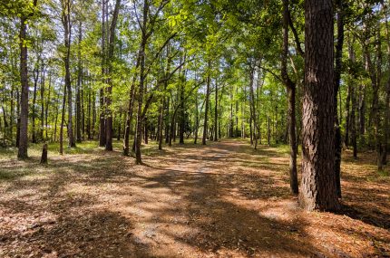 10023 S Carolina Rd McClellanville Rental 3-Front-Entrance