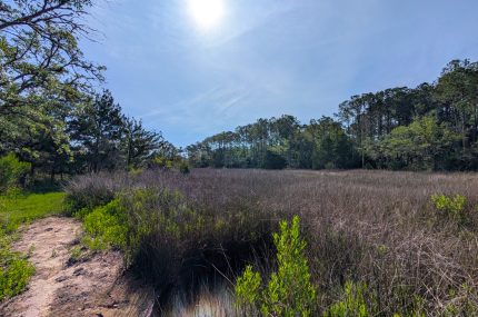 10023 S Carolina Rd McClellanville Rental 32-Backyard Marsh