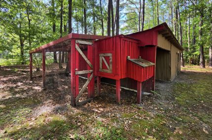 24-Coop-Awendaw-SC-Home-For-Rent