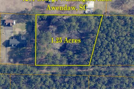 31-GIS-Close-7271-George-WashingtonLn-Awendaw-SC