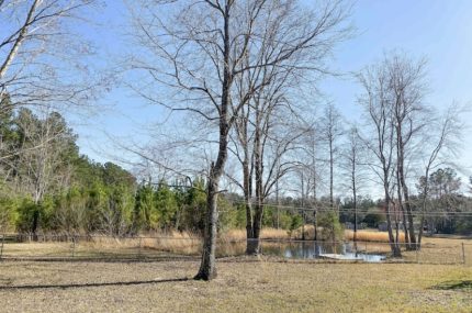 954 Skeebs Street McClellanville Rental 11