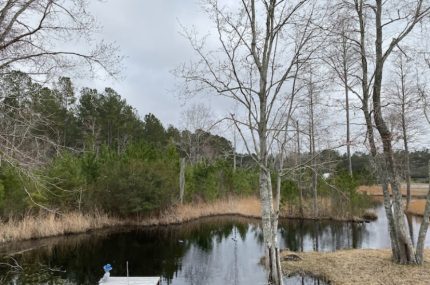 954 Skeebs Street McClellanville Rental 3