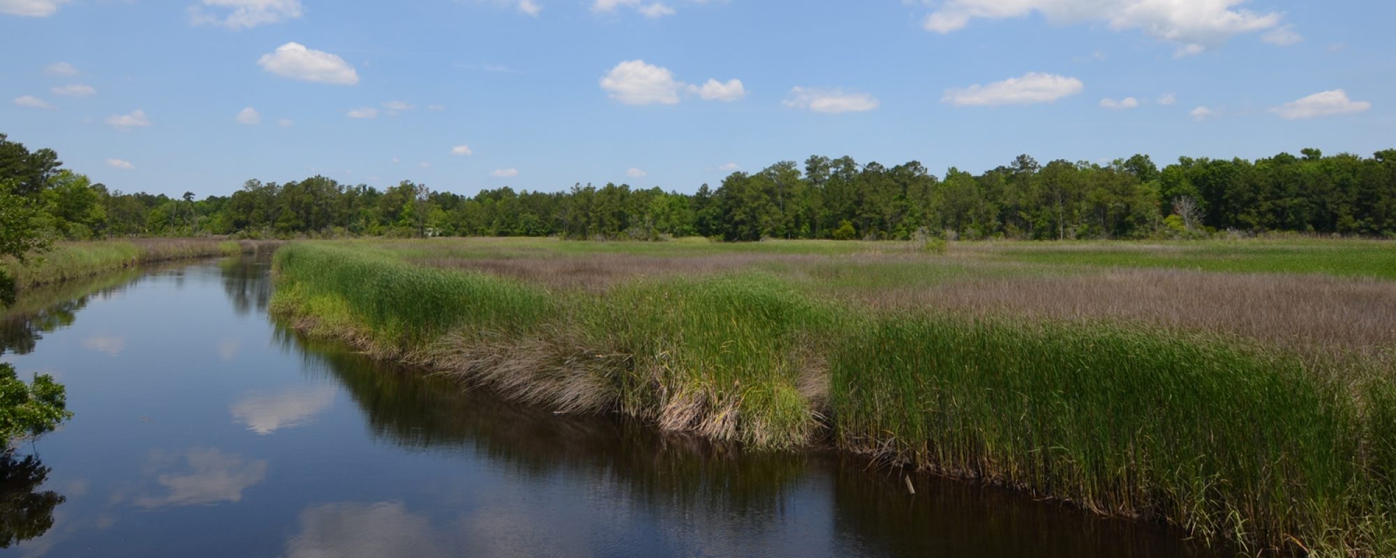 Homepage MCVL Realty McClellanville and Awendaw, SC Real Estate Specialists