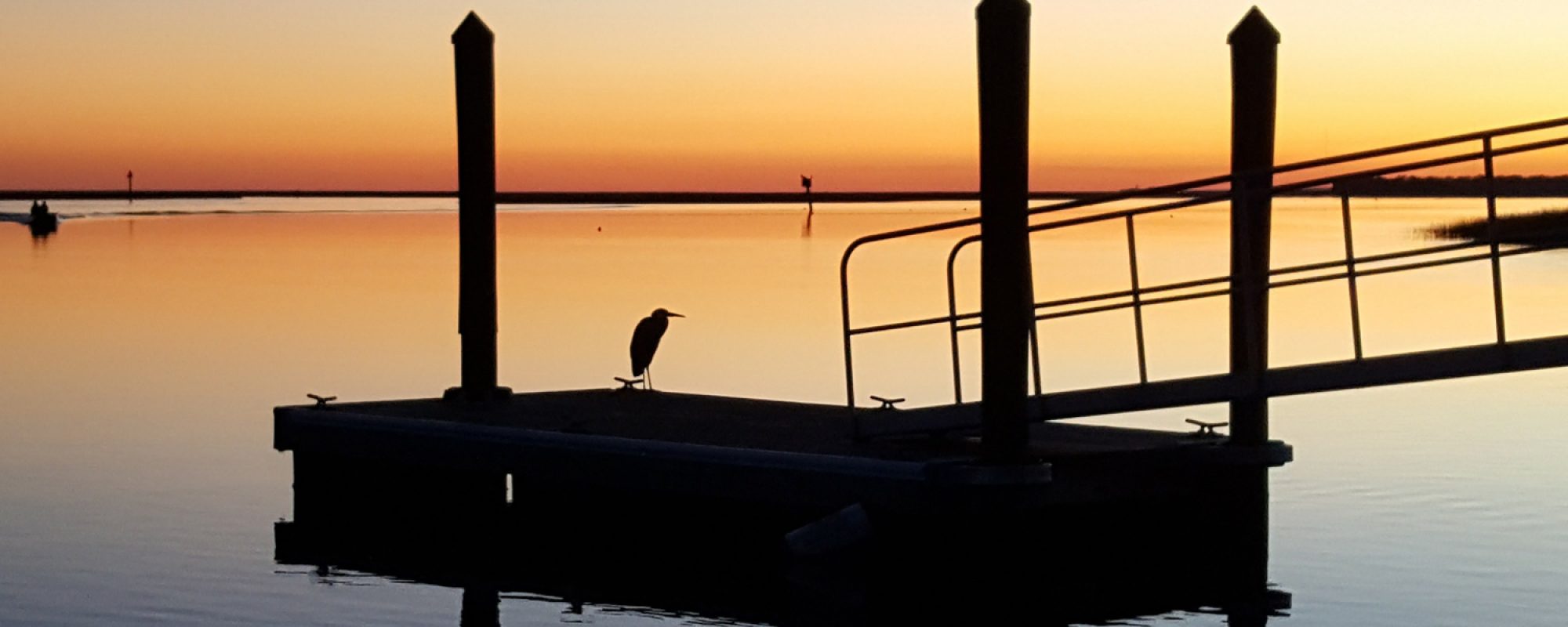 Homepage MCVL Realty McClellanville and Awendaw, SC Real Estate Specialists