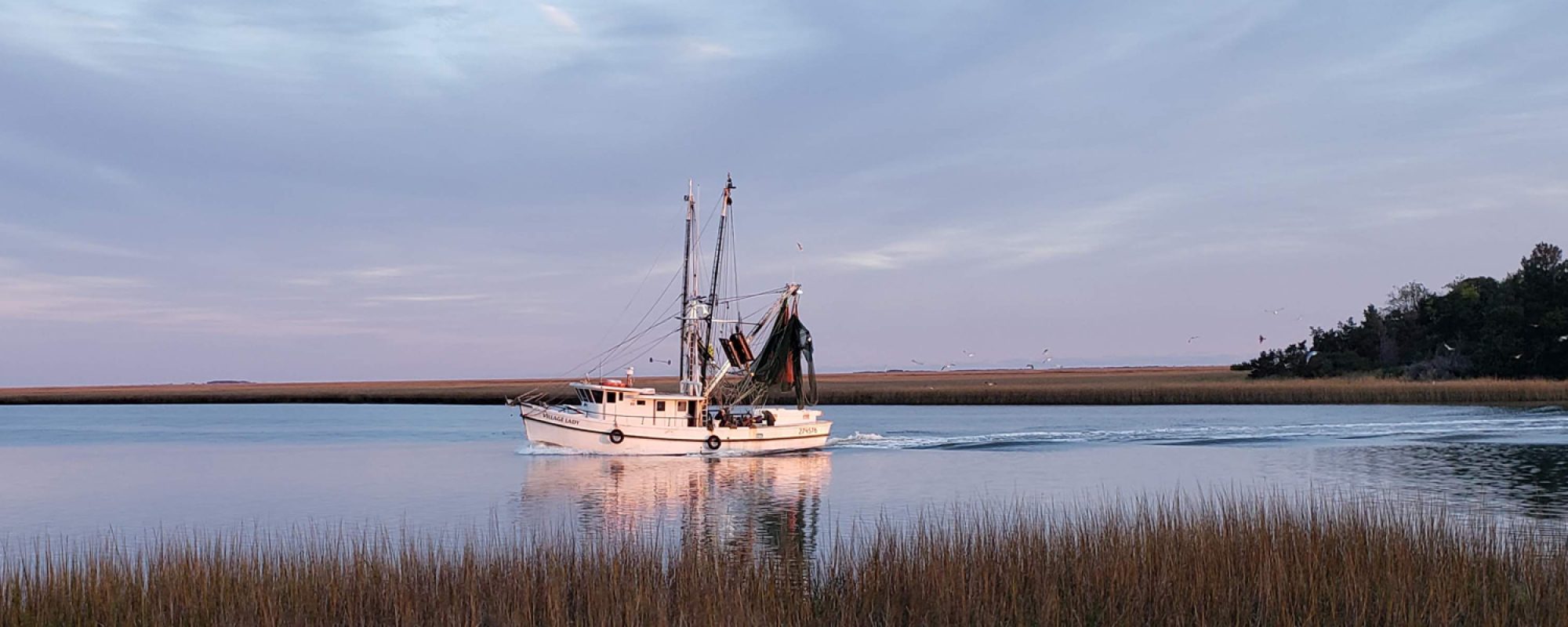 Homepage MCVL Realty McClellanville and Awendaw, SC Real Estate